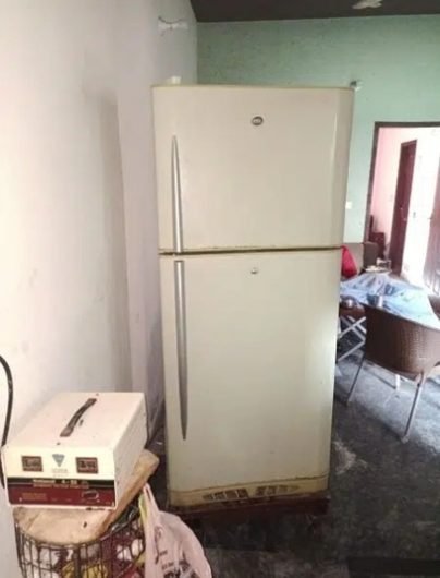 Pel fridge full size