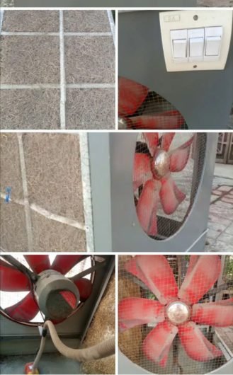 Air cooler