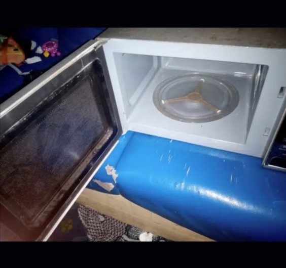 Homage microwave garill oven