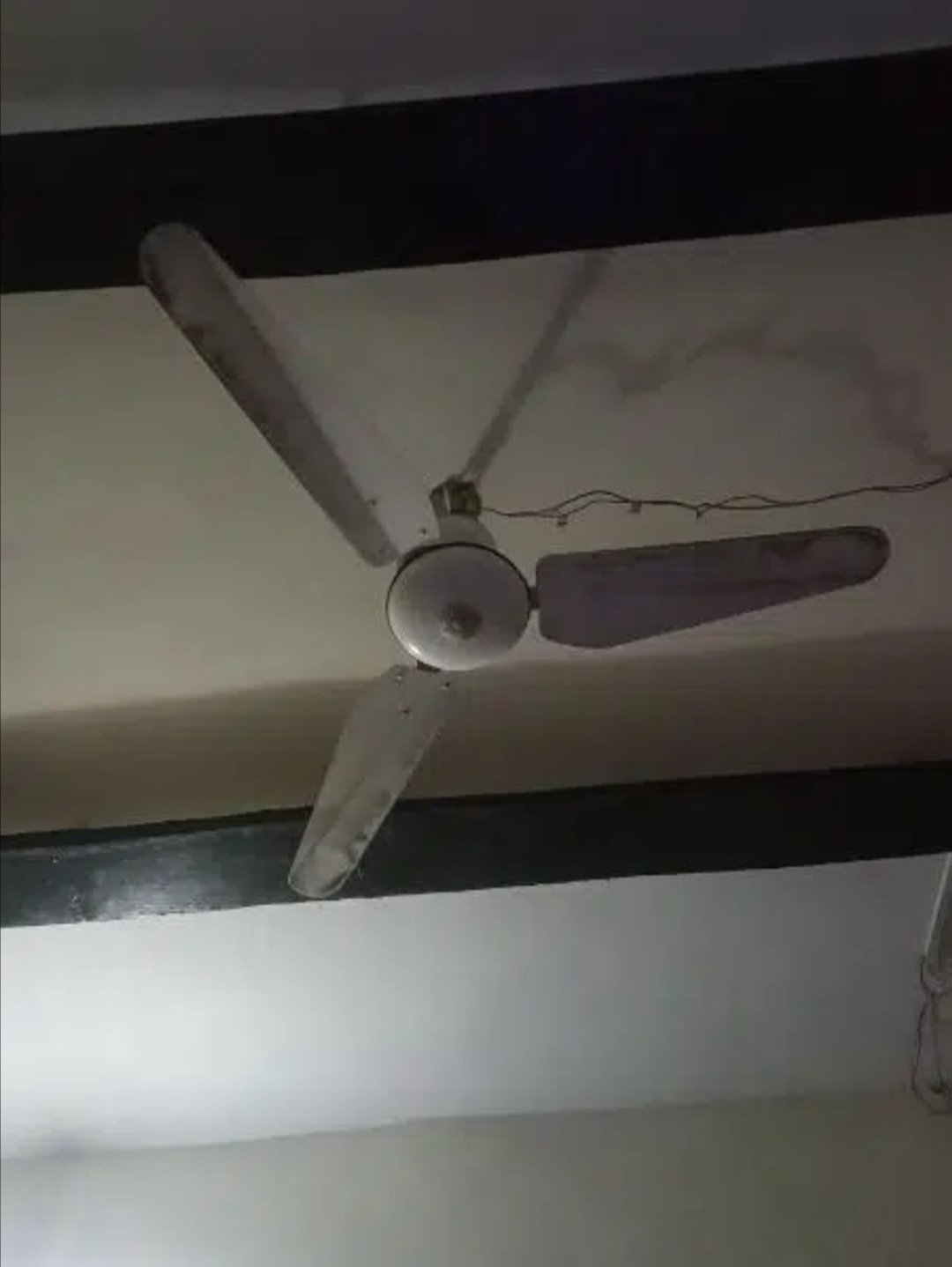 siling fans 10 by 10 candition ha