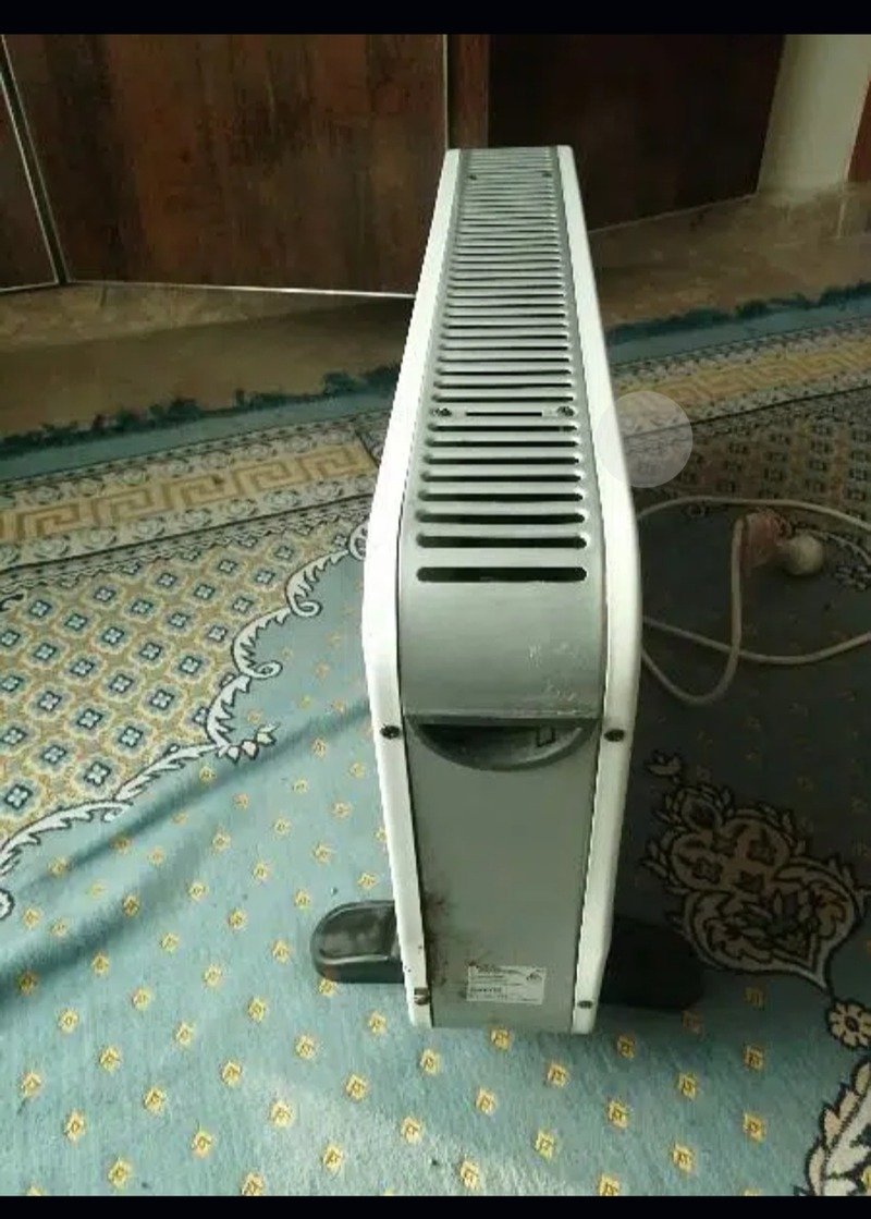 Electric heater