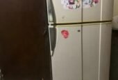 pel fridge large size