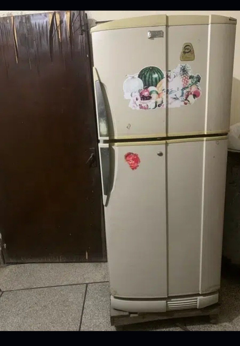 pel fridge large size