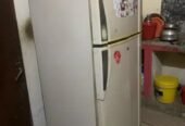 pel fridge large size
