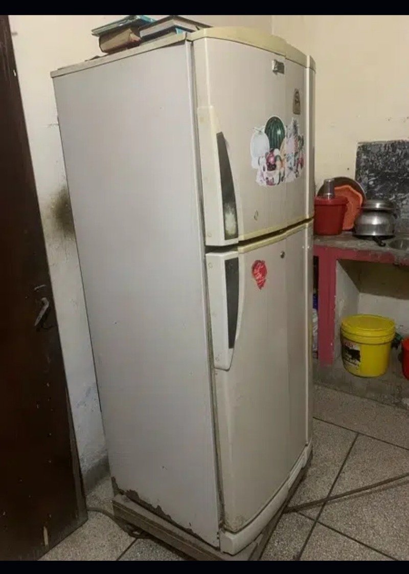 pel fridge large size