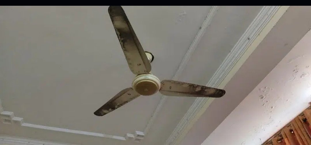 celling fan