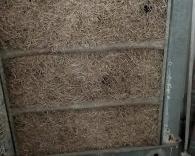 Screenshot_20240218_193753