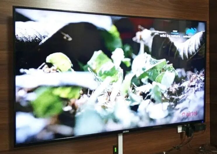LED 50″ Akira (Singapore Made