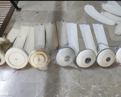 Screenshot_20240312_150556