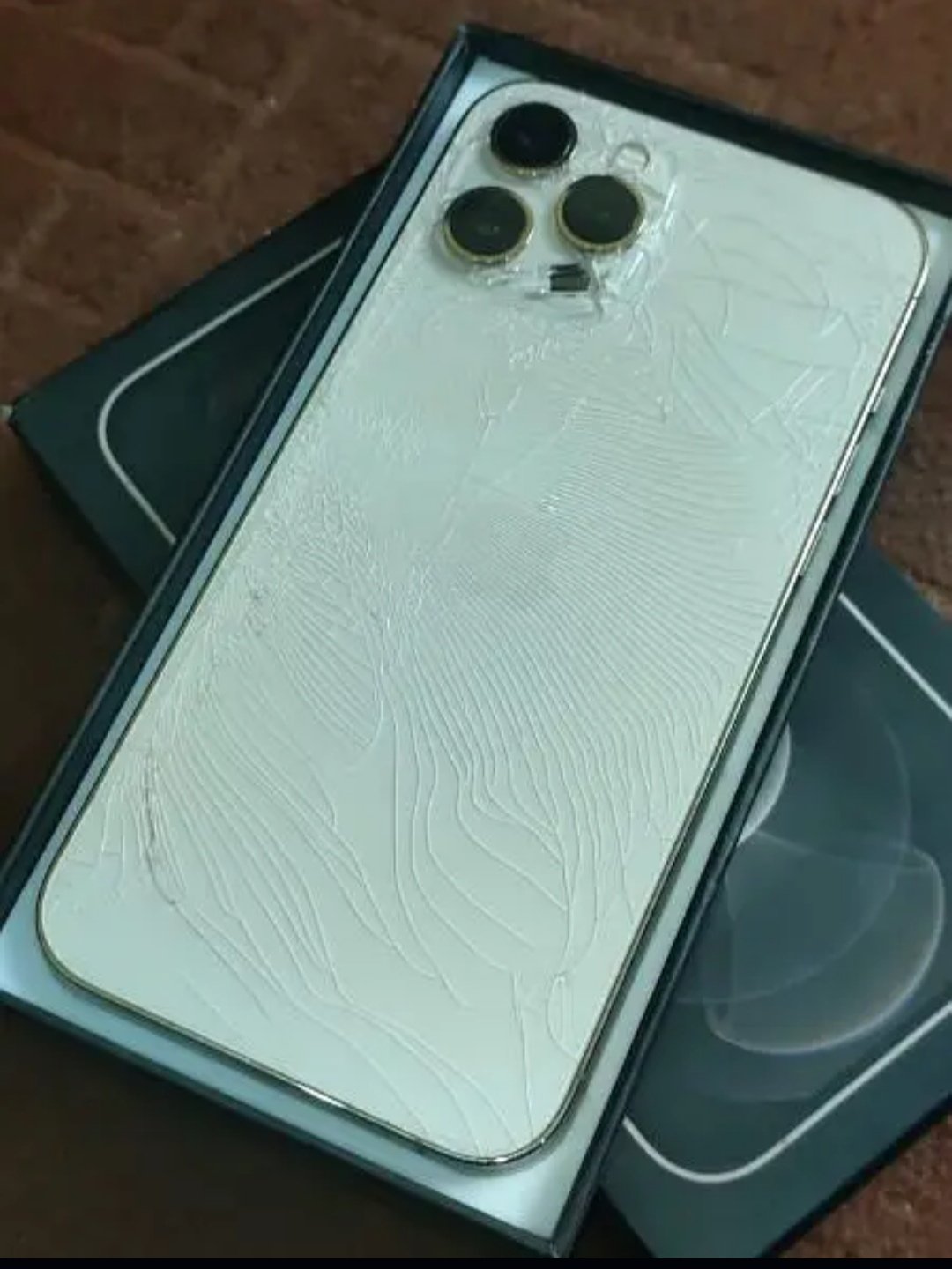 IPHONE 12 PRO MAX BACK BRAEK PTA