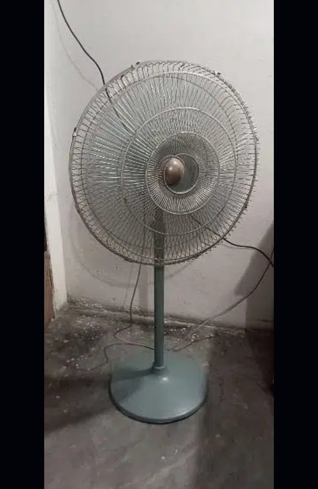 Beeta Stand Fan l Pedestal Fan
