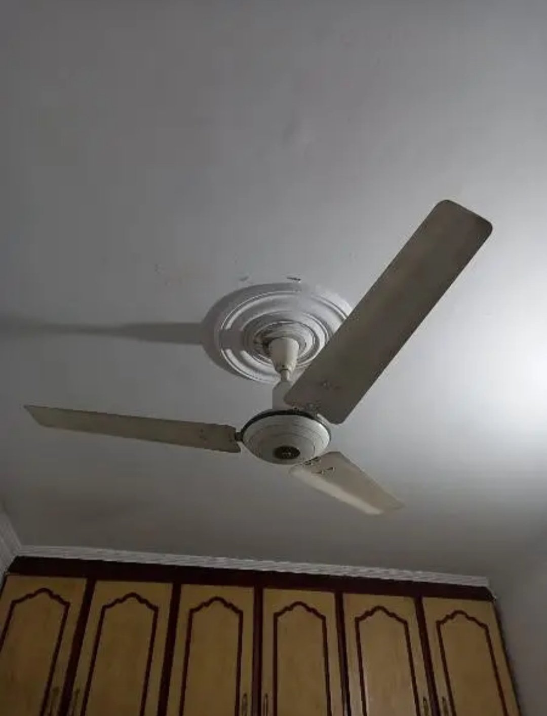 2 Adad Fans Royal/GFC