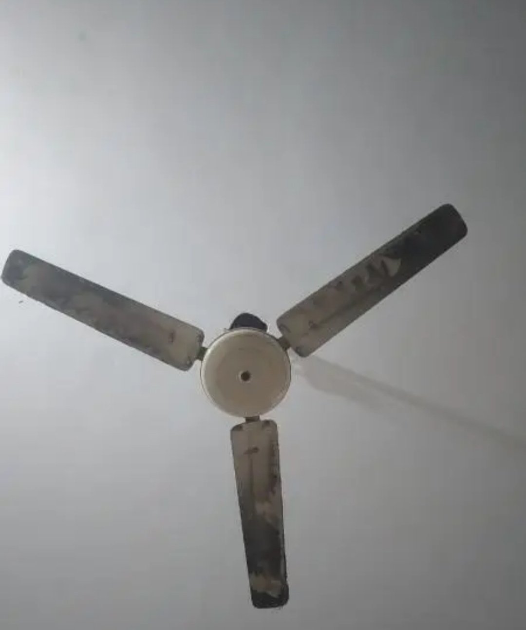 Jalal Celling Fan for sale