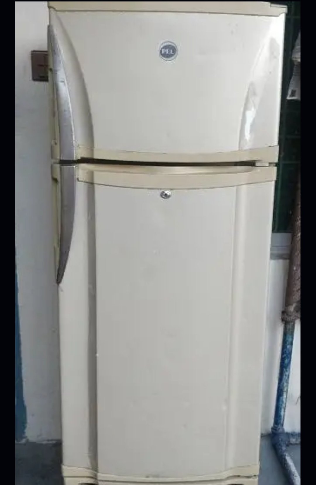 Pell Fridge Best Cooling