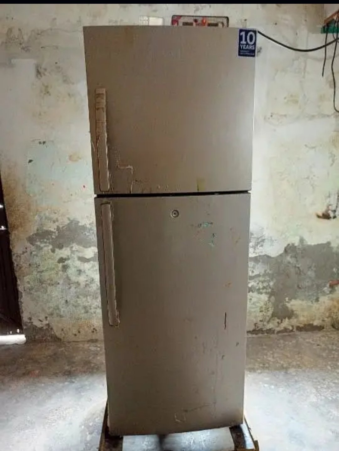 hair fridge Midum Size