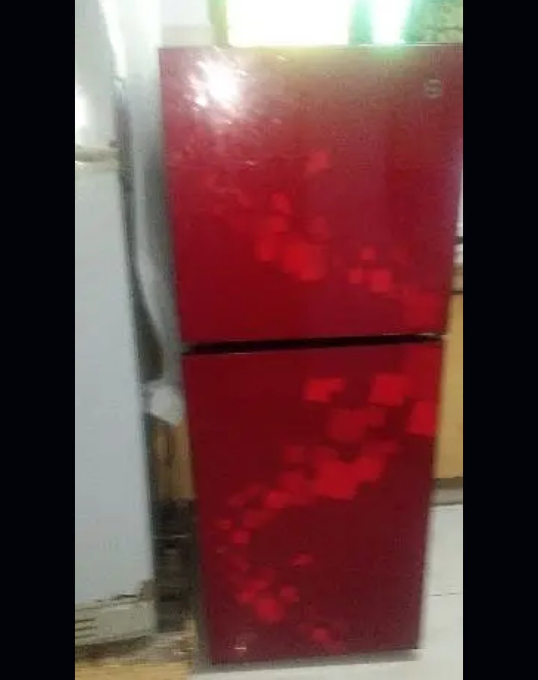 Pel Fridge at low price