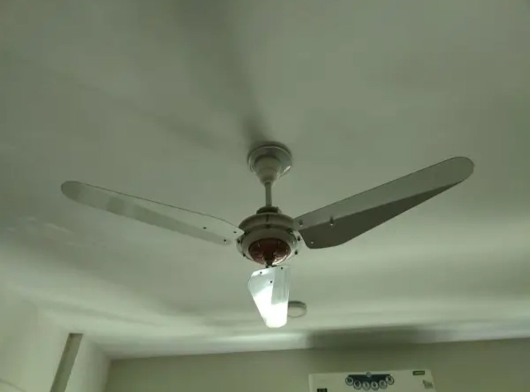 3 fans
