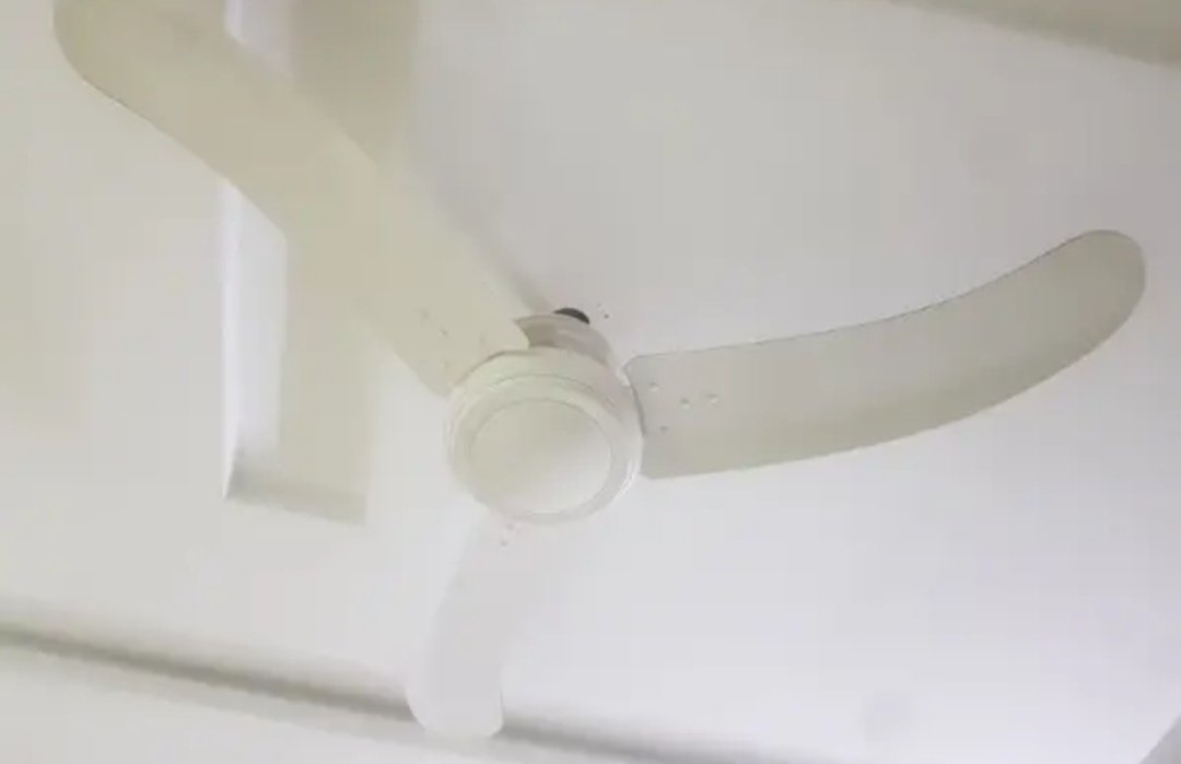 Pak fan 56″ ceiling fan