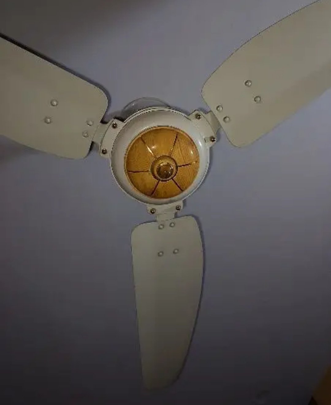 Royal ceiling fan