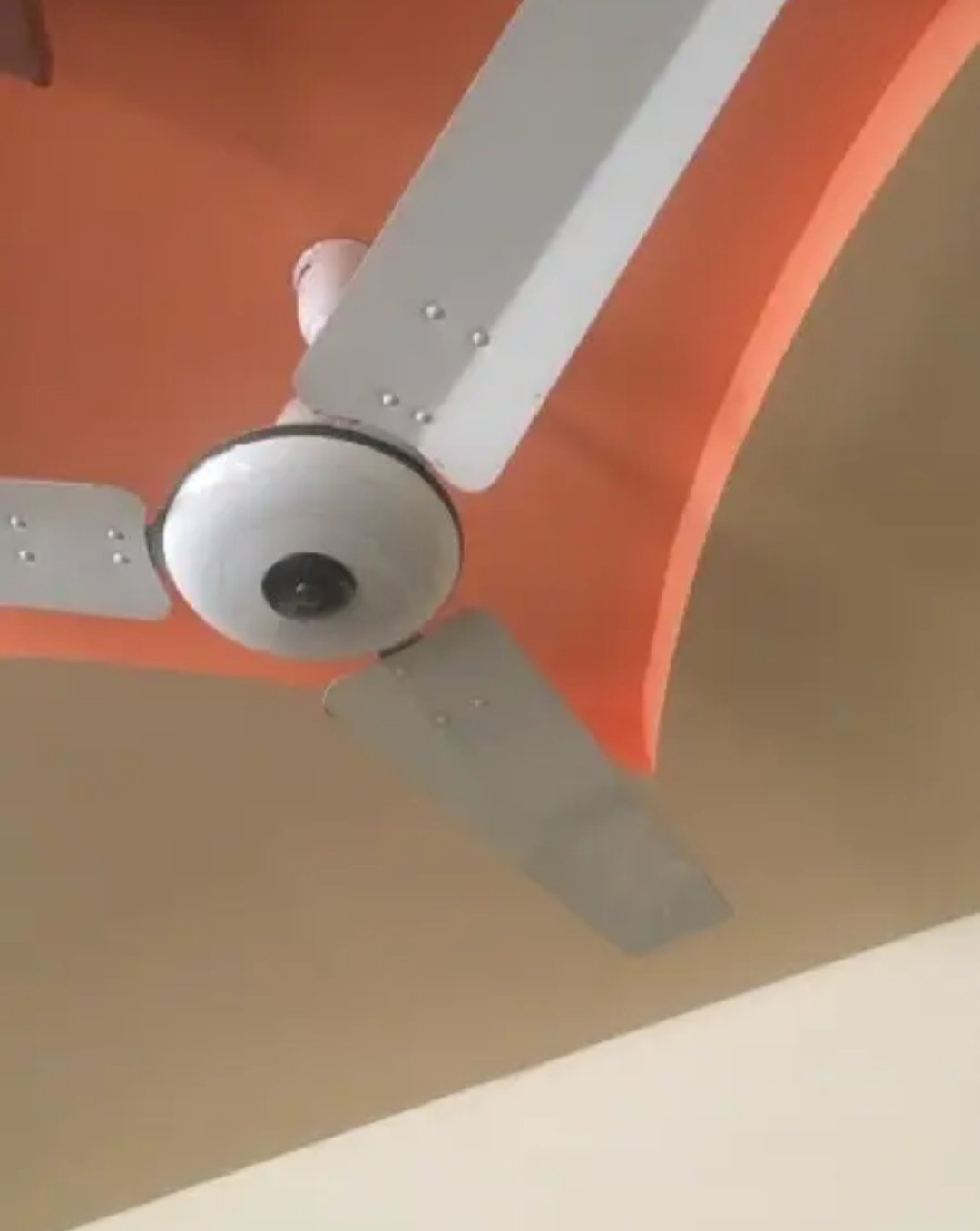 Royal fan 10/10 condition for sale