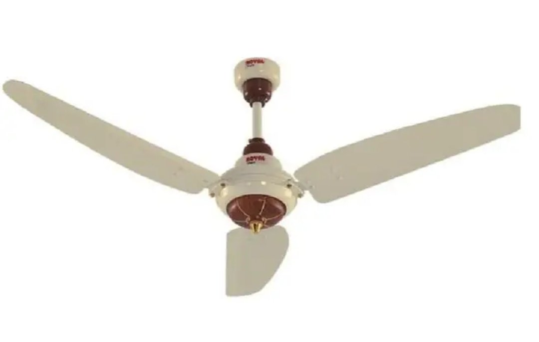 Royal Fan for Sale