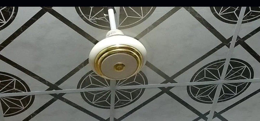 alzikria fan pure copper