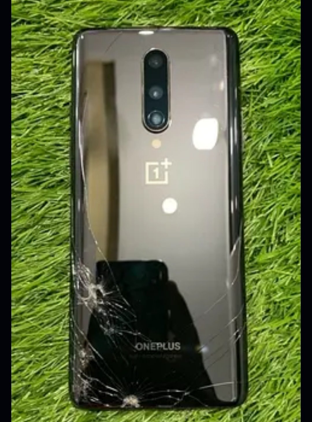 Oneplus 8