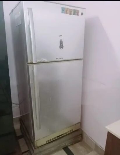 Pel Full size fridge