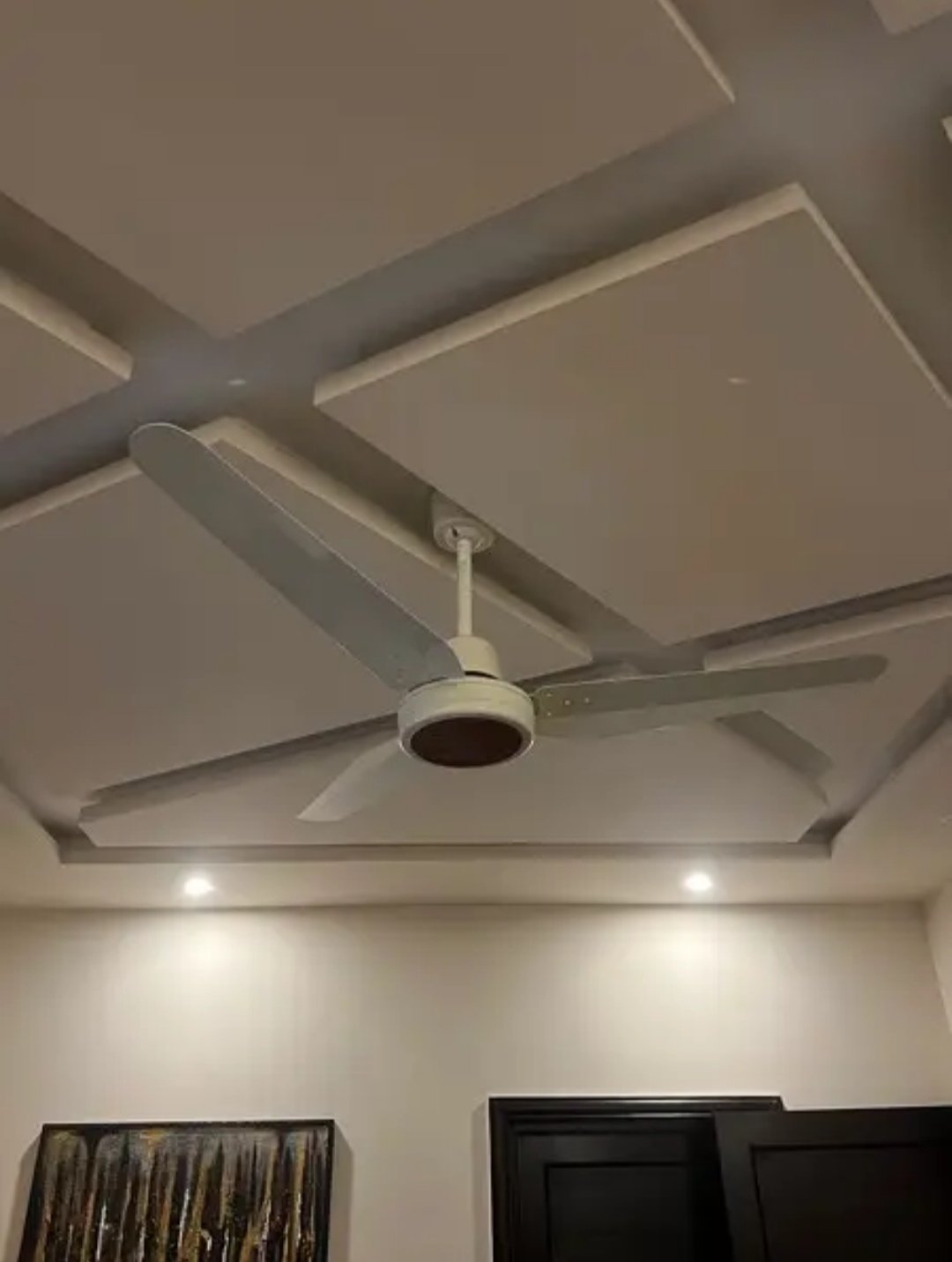 ceiling fan 2 months used only