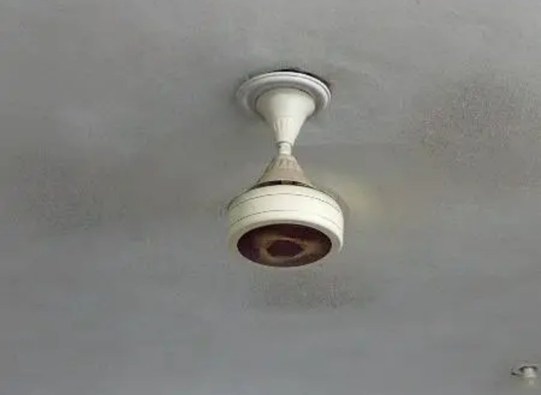 Ceiling fan