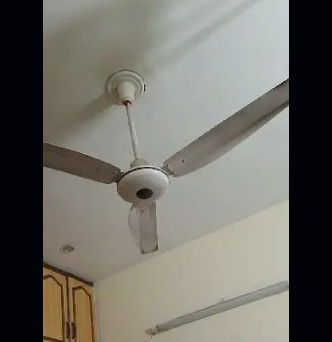 Royal ceiling Fan