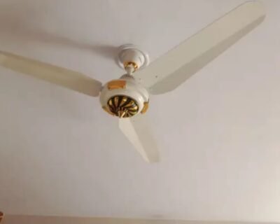 Screenshot_20241026_012401