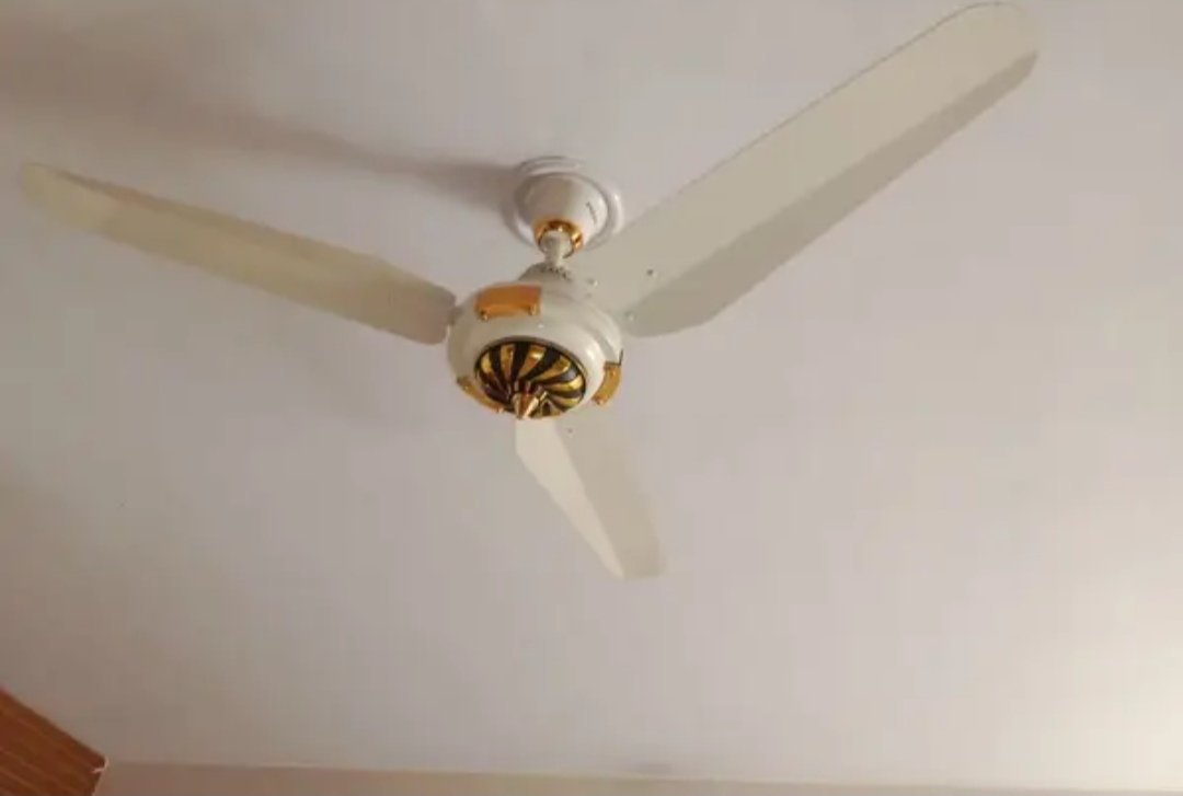 brand New fan for sale.