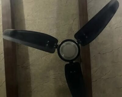 Screenshot_20241114_231500