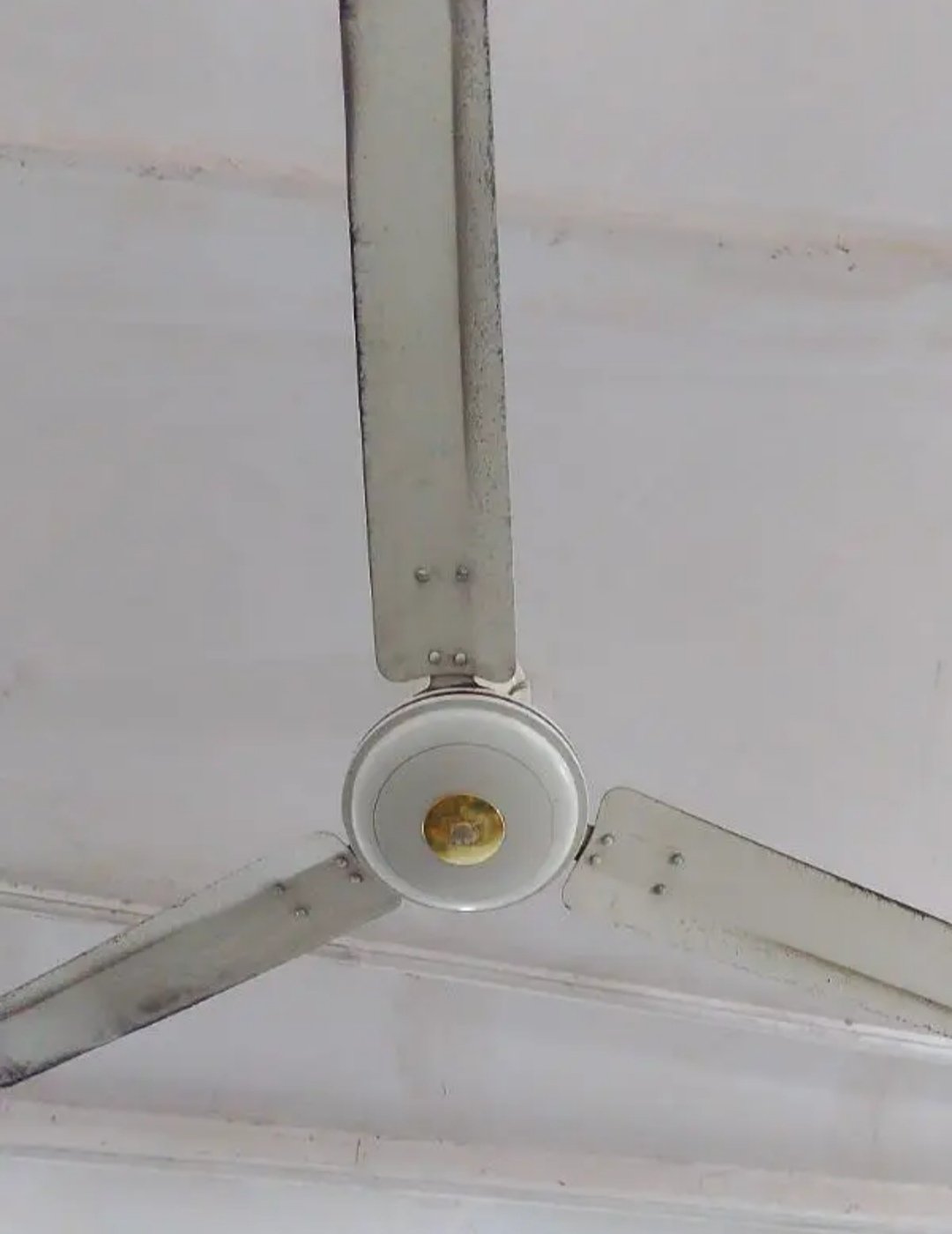 fan seelling