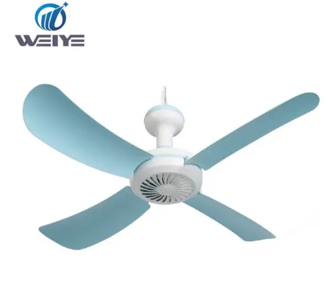 Ceiling fan