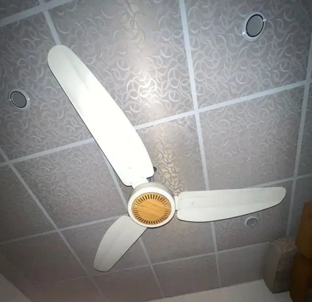 Royal Ceiling fan