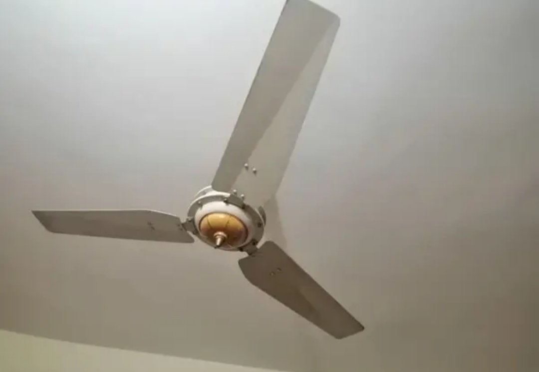 6 ROYAL FANS AND 1 GFC FAN