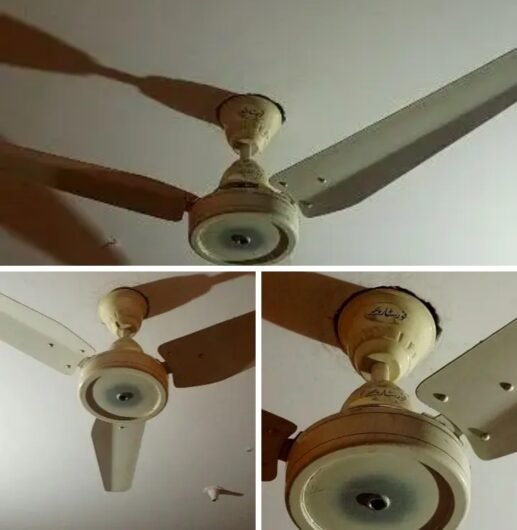 Four star fan
