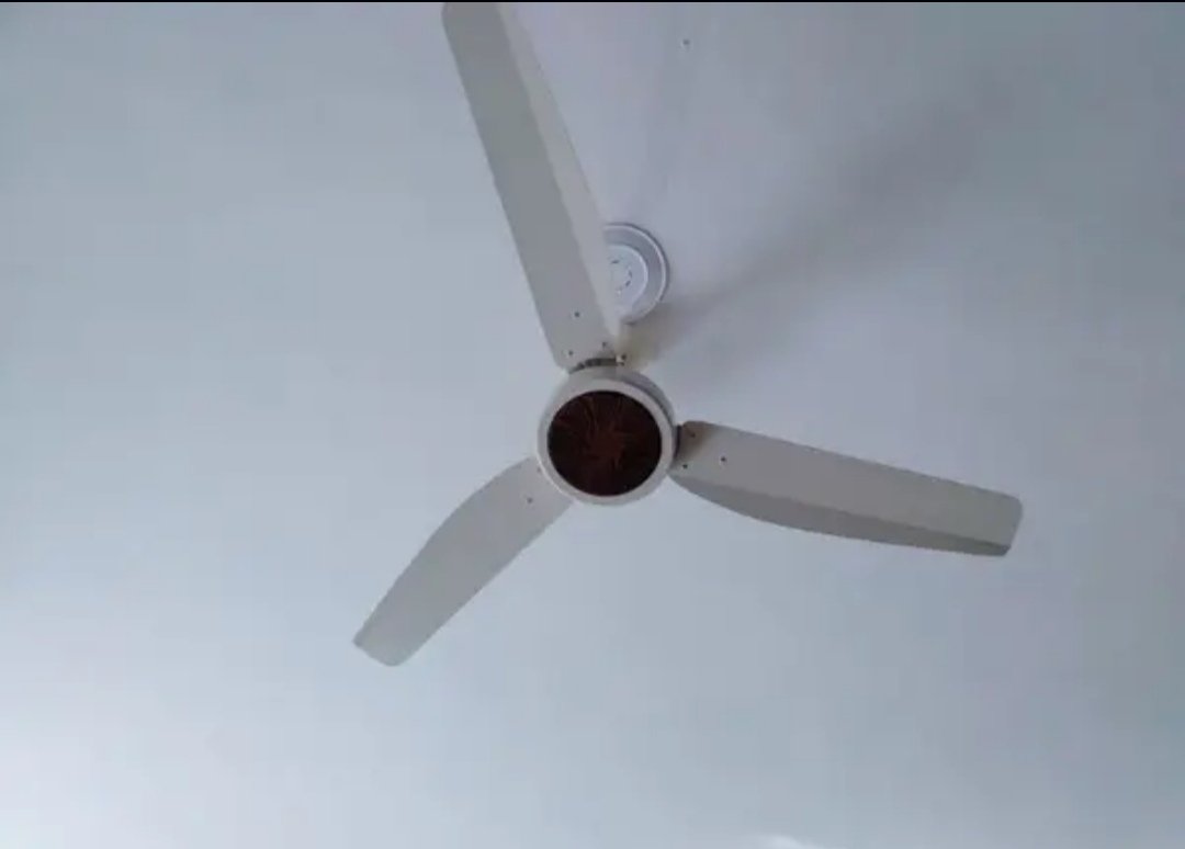 Celling Fans