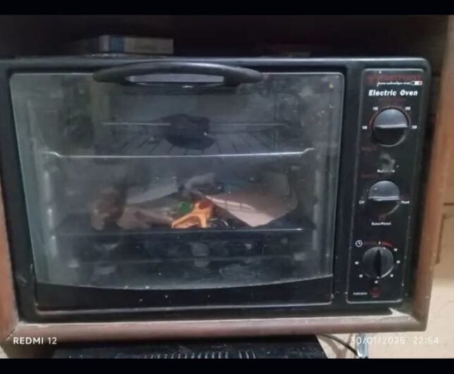 electric oven