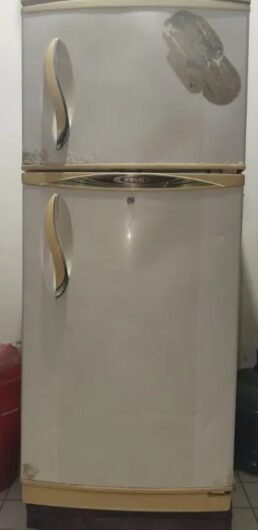 waves refrigerator 10 Cft