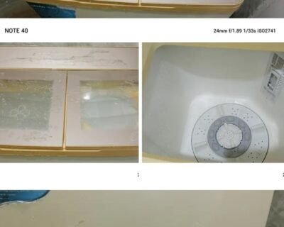 IMG_20250207_111550
