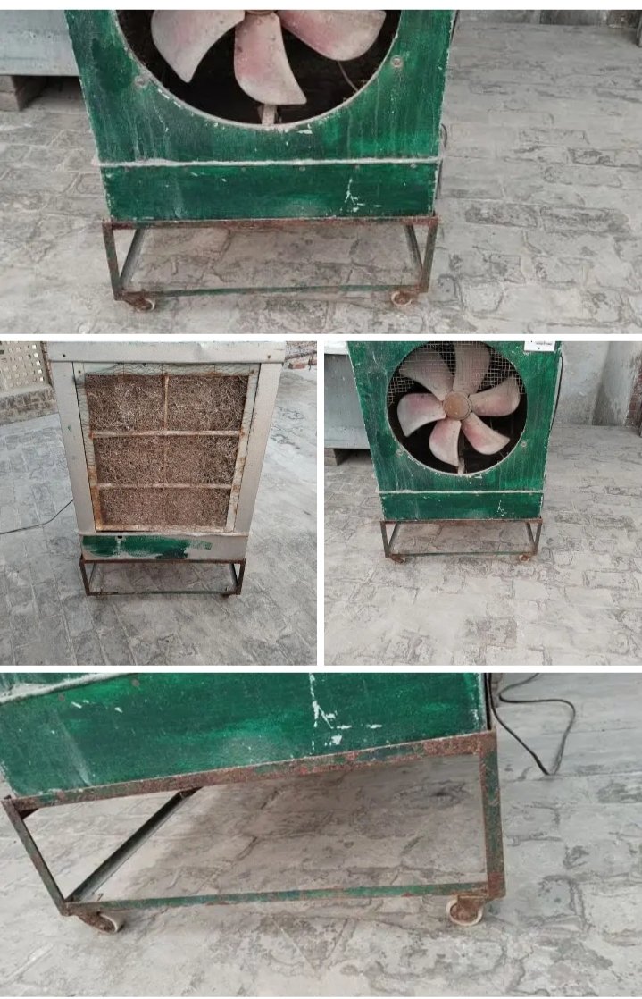 20 Gage Lahorei Room Color