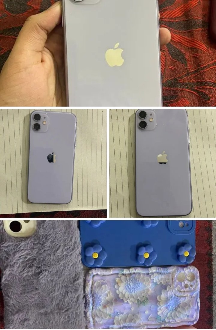 iPhone 11 PTA approved